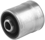 Trailing Arm Bushing