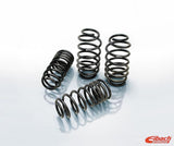 Suspension Spring Kit