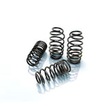 Suspension Spring Kit