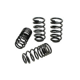 Suspension Spring Kit