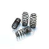 Suspension Spring Kit