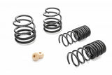 Suspension Spring Kit