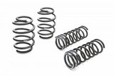 Suspension Spring Kit