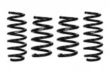 Suspension Spring Kit