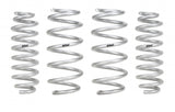 Suspension Spring Kit