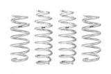 Suspension Spring Kit