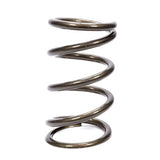 Coil Spring - Platinum