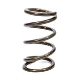 Coil Spring - Platinum