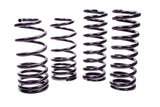 Suspension Spring Kit