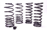 Suspension Spring Kit