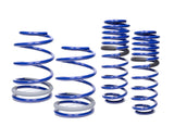 Suspension Spring Kit