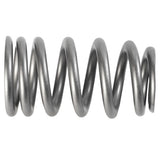 Valve Spring