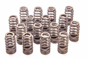 Valve Spring