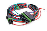 Ignition Wiring Harness