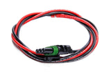 Ignition Wiring Harness