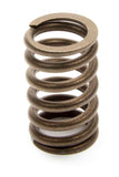 Valve Spring