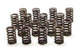 Valve Spring