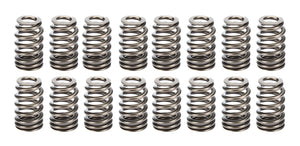 Valve Spring