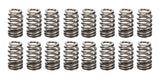 Valve Spring