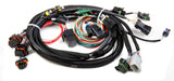 EFI Wiring Harness