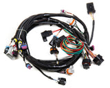 EFI Wiring Harness