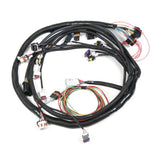 EFI Wiring Harness