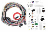 EFI Wiring Harness