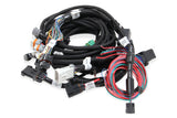 Engine Wiring Harness