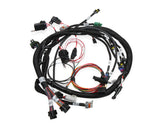 Ignition Wiring Harness