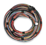 Ignition Wiring Harness