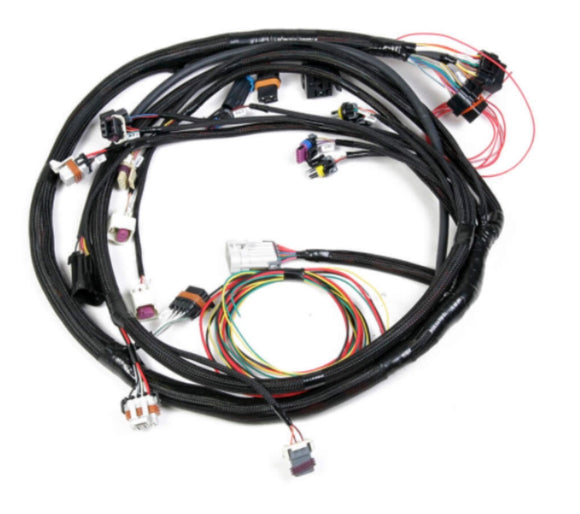 Engine Wiring Harness