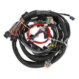 EFI Wiring Harness