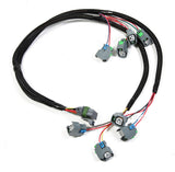 EFI Wiring Harness