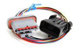 EFI Wiring Harness