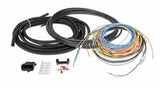 EFI Wiring Harness