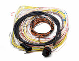 EFI Wiring Harness