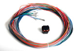 EFI Wiring Harness