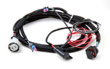 EFI Wiring Harness