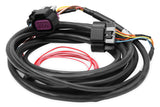 EFI Wiring Harness