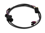 EFI Wiring Harness