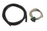 EFI Wiring Harness