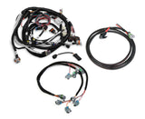 EFI Wiring Harness