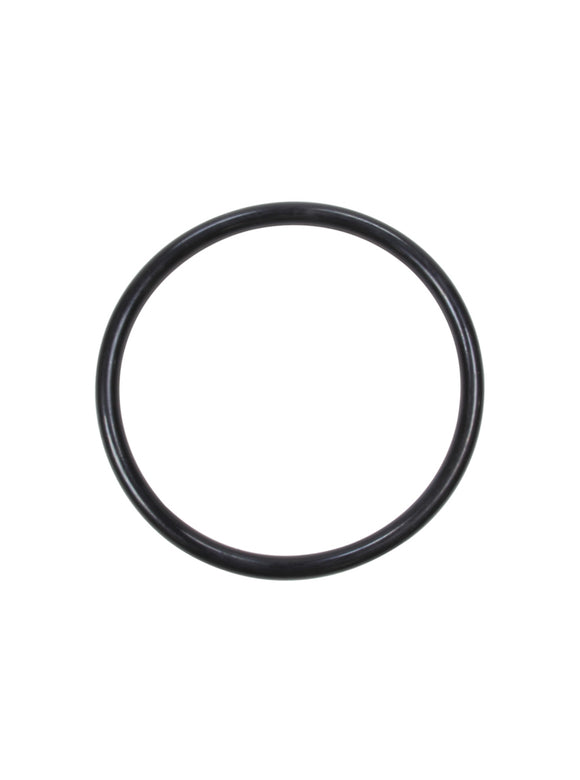 Fuel Cell Cap Gasket