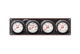 Gauge Panel Assembly