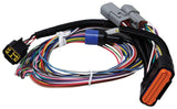 Ignition Wiring Harness