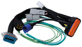 Ignition Wiring Harness