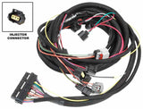 Ignition Wiring Harness