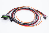 Ignition Wiring Harness