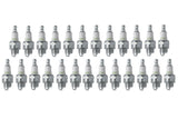 Spark Plug - NGK Standard