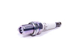 Spark Plug - NGK Racing